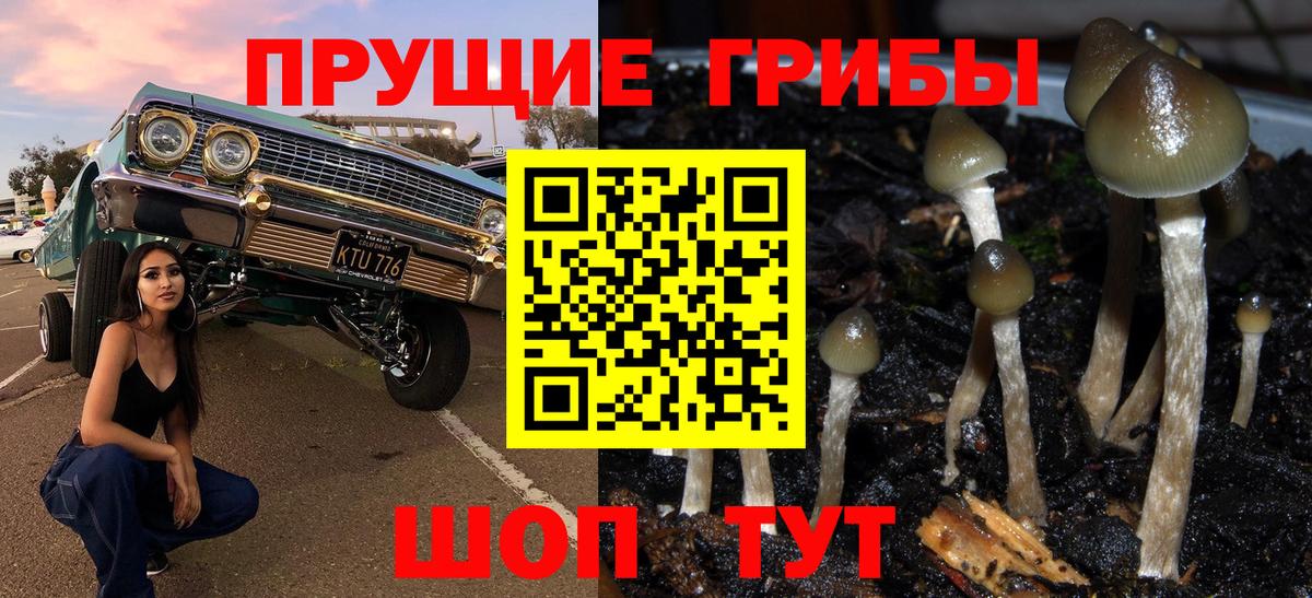 Семилуки  Галлюциногенные грибы MAGIC MUSHROOMS  Вход с VPN 