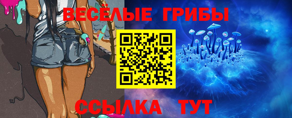 Галлюциногенные грибы Psilocybe Семилуки